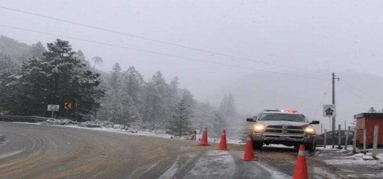 Coahuila se pinta de blanco con nevada en sierras de Arteaga