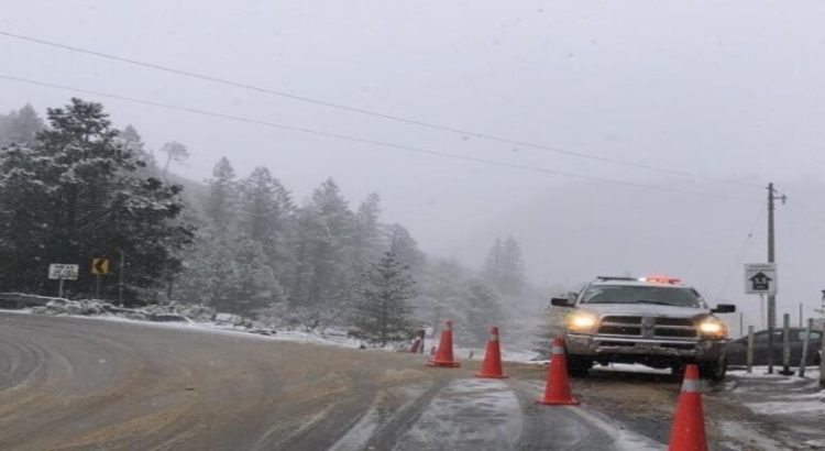 Coahuila se pinta de blanco con nevada en sierras de Arteaga