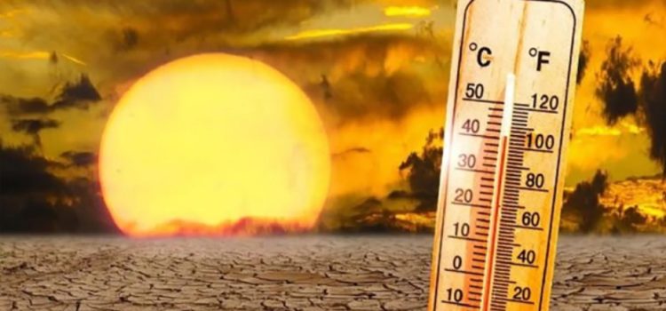 2024 podría ser el año más caluroso en la historia