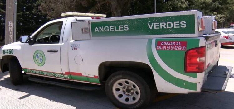 El programa de Ángeles Verdes estará presentes en las carreteras de Coahuila