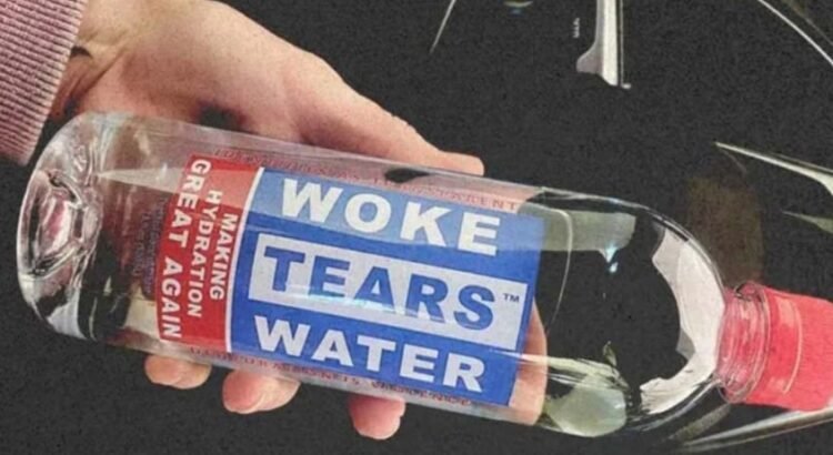 El auge de las tiendas «anti-woke» en los Estados Unidos