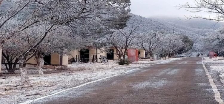 Se registra la primera nevada en Ocampo, Coahuila