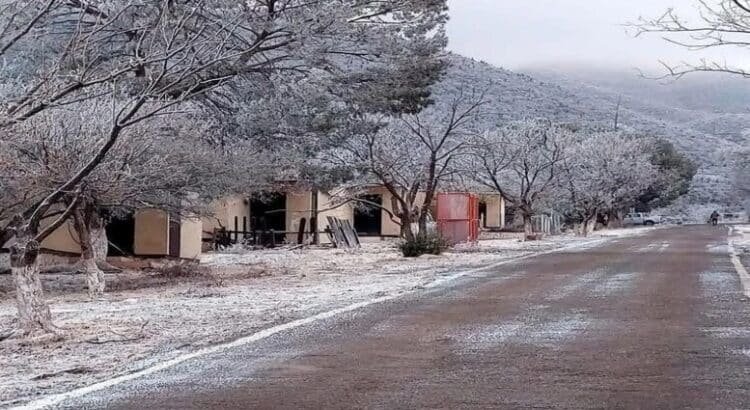 Se registra la primera nevada en Ocampo, Coahuila