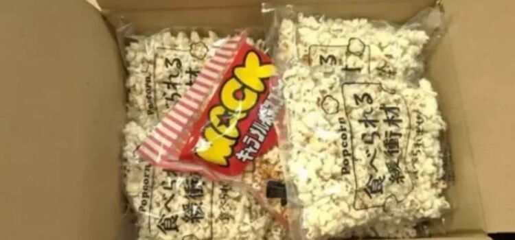 Empresa utiliza palomitas de maíz como material para empaque