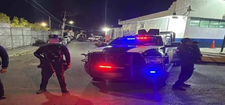 Es asegurada más de una tonelada de marihuana en Saltillo