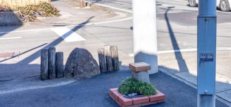 Japón rompe récord mundial con el parque más pequeño del mundo