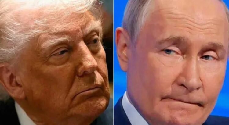 Trump y Putin anuncian inicio de negociaciones de alto el fuego entre Rusia y Ucrania