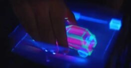 Hologramas interactivos sin gafas: el futuro que parecía ciencia ficción ya es una realidad