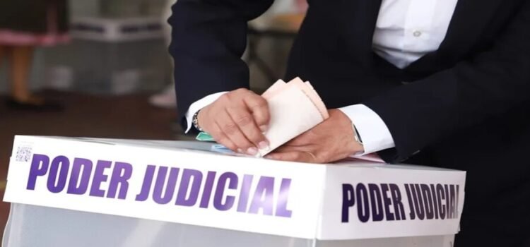 Los virtuales ganadores de la elección federal judicial en el estado de Coahuila