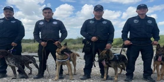 Los binomios caninos de Coahuila se suman para la búsqueda de víctimas de inundaciones en Texas