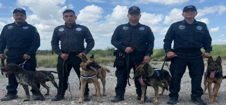 Los binomios caninos de Coahuila se suman para la búsqueda de víctimas de inundaciones en Texas