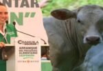 Los ganaderos de Coahuila y Durango esperan el apoyo de gobierno