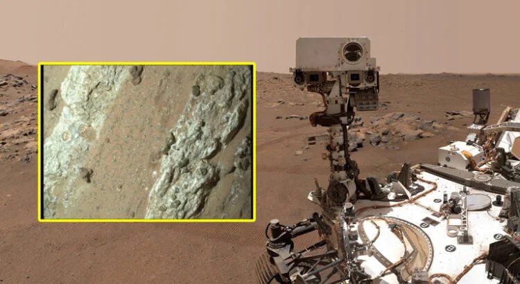 La NASA anuncia el descubrimiento de vida en Marte con un alto grado de confianza La NASA anuncia el descubrimiento de vida en Marte con un alto grado de confianza