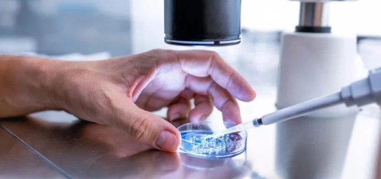 Desarrollan óvulos humanos potencialmente fecundables a partir de células de la piel